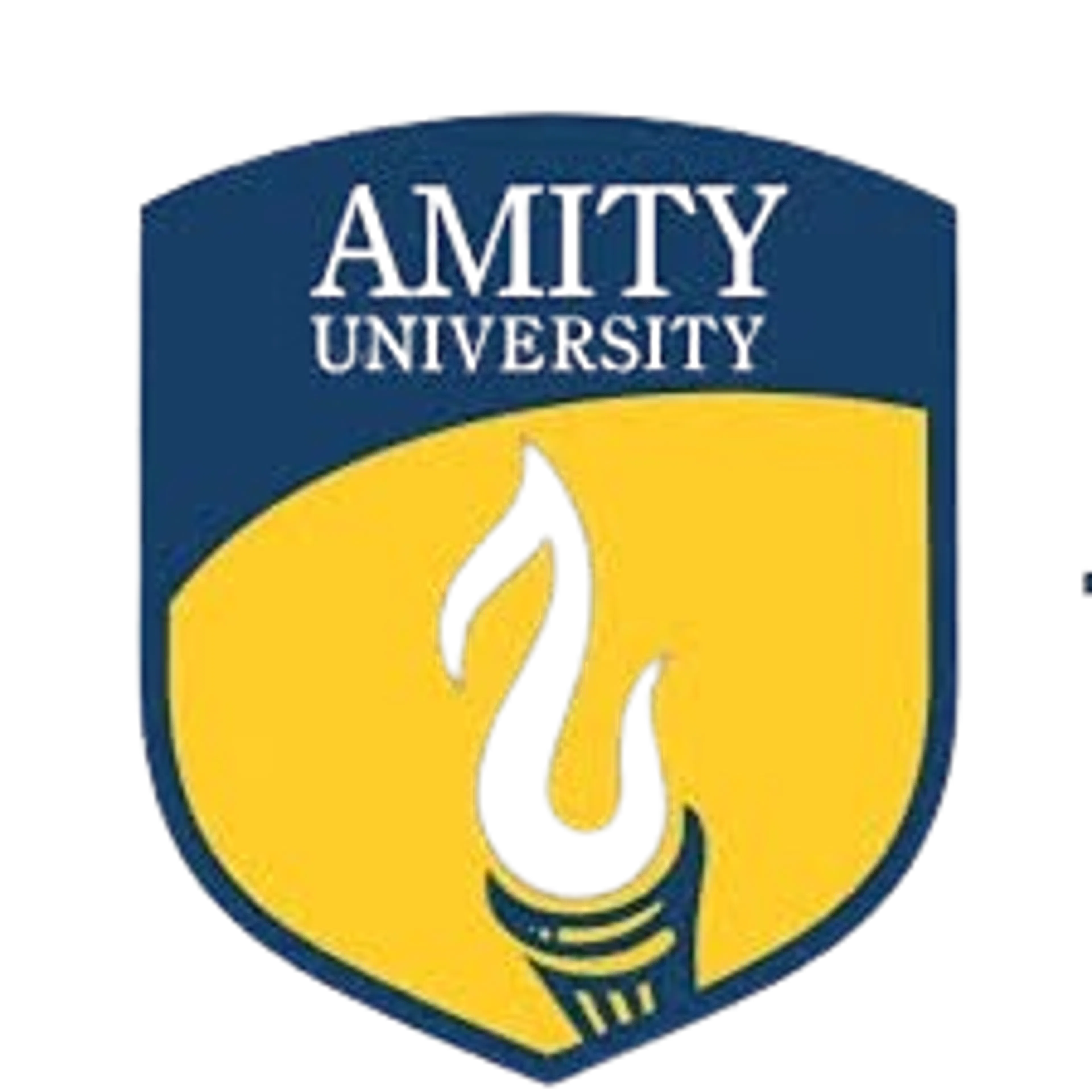 Amity University Logo